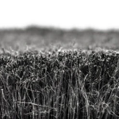 Muc-Off Soft Washing Brush 11 Muc-Off Soft Washing Brush -Dolan Bike Store Soft Washing Brush 6