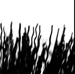 Muc-Off Tyre & Cassette Brush 8 Muc-Off Tyre & Cassette Brush -Dolan Bike Store Tyre Cassette Brush 4